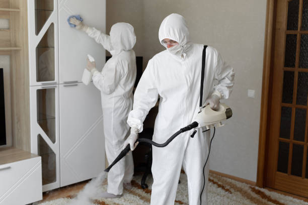 Best Mold Removal for HVAC Installations  in Oconto, WI